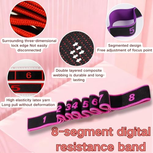 3PCS Fitness Resistance Band for Stretching and Yoga,Number Stretch Resistance Band with Clear Markings,8-Section Elastic Training Bands for Full Body Stretching Shaping