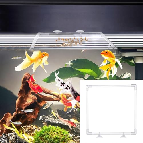 Clear Acrylic Aquariums Fish Feeding Rings with Easy Installation Suction Cup Prevents Food Drift and Waste 23x23CM