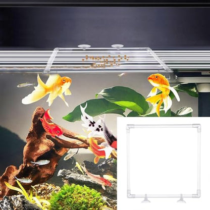 Clear Acrylic Aquariums Fish Feeding Rings with Easy Installation Suction Cup Prevents Food Drift and Waste 23x23CM