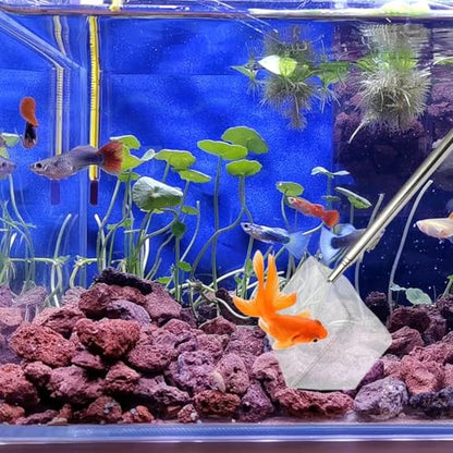 1 Pack Aquarium Tank Small Fishing Nets, Square Shrimp Net with Extendable Handle, Fine Mesh Aquarium Skimming Net (White)