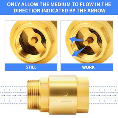 ChillWaves Brass In-Line Spring Check Valve 2" NPT Male x 2" NPT Female Thread, One-Way Non-return Vertical Check Valve for Backflow Prevention(1-PACK) - size: 2" MNPT x 2" FNPT, style: PACK OF 1
