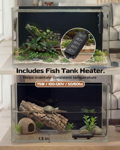 Glass Fish Tank Kit, 10 Gallon Betta Fish Tank Aquarium Starter Kit with Filter, Lights, Lid, for Betta, Goldfish, Small Fish or shrimg