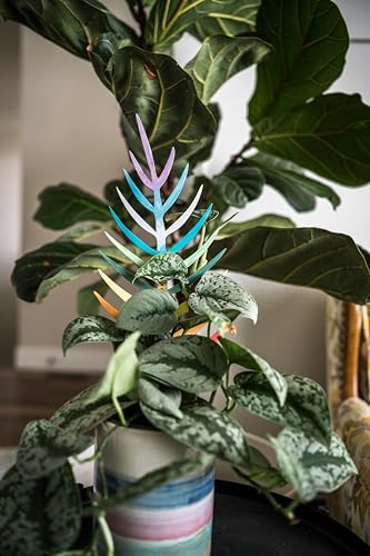 Bare™ Bundle – Monstrella + Palmella - Set of 2 Wooden Plant Trellises for Indoor Climbing Houseplants – 12” Tall Customizable Leaf-Shaped Plant Supports