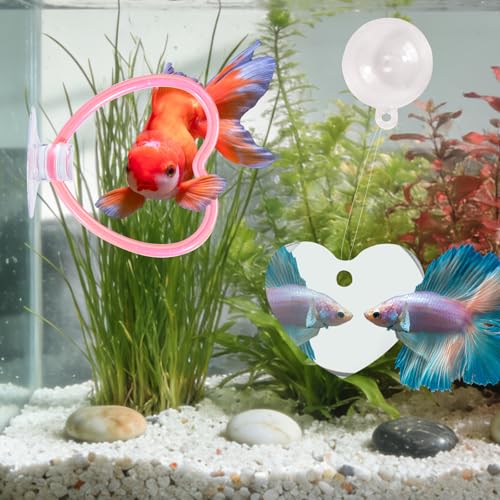 Betta Fish Toys, 2 PCS Heart Fish Exercise Ring and Nitrifying Balls Set, Heart Betta Mirror Toy Set, Feeding Ring with Suction Cup, Fishing Tank Accessories for Gifts (Pink)