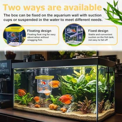 Floating Fish Breeding Isolation Box for Aquarium Tank, Acrylic Isolation Box for Baby Fish, Clownfish, Betta Eggs