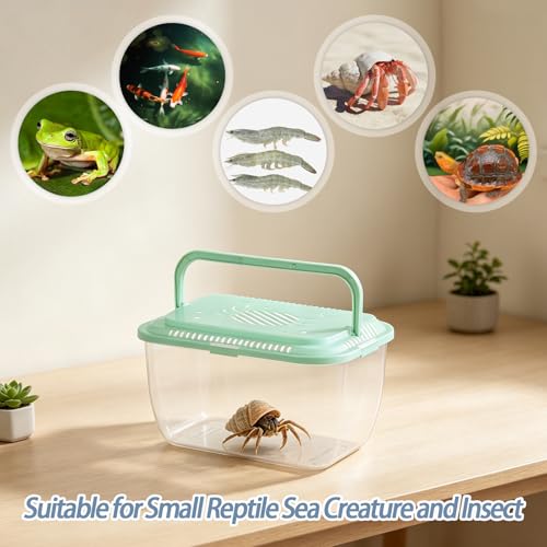 4 Pack Catch Plastic Beach Aquarium Carrier Cage with Handle, Release Aquarium Box Fish Transport Container Portable Tank for Collecting Fishes Crabs Sea Creatures for Summer Beach Party Favors