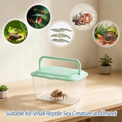 4 Pack Catch Plastic Beach Aquarium Carrier Cage with Handle, Release Aquarium Box Fish Transport Container Portable Tank for Collecting Fishes Crabs Sea Creatures for Summer Beach Party Favors