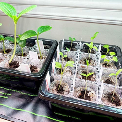 10 Pack Seed Starter Tray Kit, 120 Cells Seedling Starter Trays with Humidity Dome and Base Greenhouse Growing Trays, Reusable Seed Germination Seedling Tray with Garden Tools Labels (Green) - color: Green, size: 10 pack