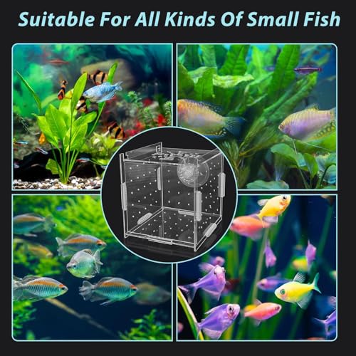 Acrylic Fish Breeding Box，Guppy breeding Box Acrylic Fish Isolation Box Aquarium Incubator with Suction Cups for Guppy Shrimp Small Baby Fishes（3.9 x 3.9 x 3.9 inches） - size: S(3.9 * 3.9 * 3.9in)