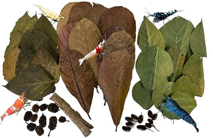 Awesome Aquatic Shrimp Combo Kit 10 Each Catappa, Mulberry and Dadap Leaves, Alder & Casuarina Cones, 10 g Catappa Bark and 1-6 inch Cholla Wood