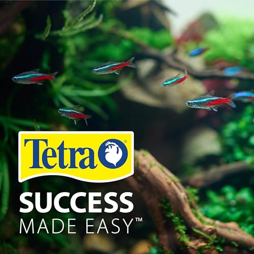 Tetra 20-29 Gallon Fish Tank Stand, Easy to Assemble in Less Than 1 Minute, No Tools Required, Water-Resistant Wood Stand for Freshwater and Saltwater Aquariums, Sturdy Stand Designed for Durability
