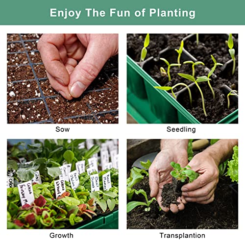 Elcoho 6 Pack Seed Starter Tray Kit 40 Cells Seedling Trays with Humidity Dome and Base Mini Propagator Plant Nursery Pots Total 240 Cells for Greenhouse Plants Growing, Green - color: Green
