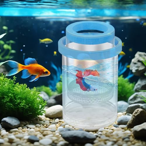 Fish Breeder Box - Clear Acrylic, Strong Suction Cups, V-Grate, Safe Fry Hatching Tank Guppy, Protects Fish, Betta Shrimp Isolation Space, Aquatic Separator Nursery | for Aquarium - color: Blue