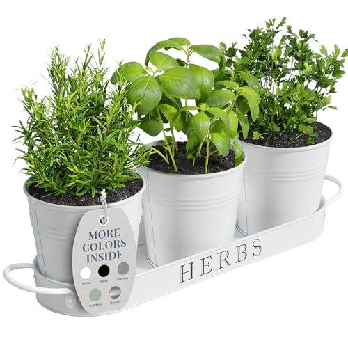 Barnyard Designs Indoor Herb Garden Planter Set with Tray, Metal Windowsill Plant Pots with Drainage for Outdoor or Indoor Plants, Set/3 (White) - color: White