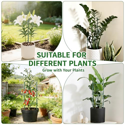 30Pcs Stackable Monstera Plant Support Stakes for Indoor Plants, Climbing Plant Support Kit with Stem Supports & Garden Wire for Philodendron, Pothos & Vine Plants