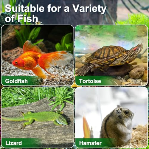 POPETPOP Portable Fish Tank 5.90X4.33X3.74 Inch Handheld Aquarium Transparent Turtle Box Plastic Fish Carrier Small Aquarium for Travel and Pet Breeding