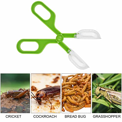 Reptile Feeding Clamp Reptile Poop Scoop Cage Fish Tank Cleaning Tools Green Feeding Tool Feeding Clamp Litter Clamp for Gecko Lizard Bearded Dragon
