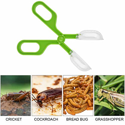 Reptile Feeding Clamp Reptile Poop Scoop Cage Fish Tank Cleaning Tools Green Feeding Tool Feeding Clamp Litter Clamp for Gecko Lizard Bearded Dragon
