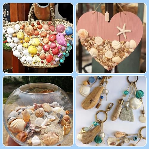 Craftdady Natural Clam Shell Pendants 21.5-24.5x8.5-11.5 Beach Ocean Seashell Beads Charms for Vase Filler Fish Tank Jewelry Making Hole:1.5-1.6mm, About 117pcs/Box - color: Natural Color, 21.5-24.5mm