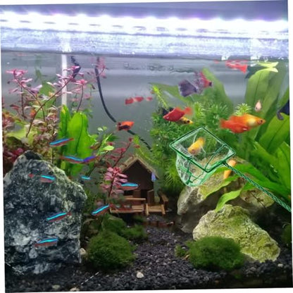 Homoyoyo 8pcs Aquarium Fish Net Fine Mesh Small Square Nets for Fish Tank Cleaning, 3-inch Sturdy Nylon Mesh with Long Handle, Suitable for Aquatic Pets and Shrimp Tank Maintenance