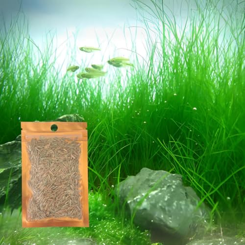 Freshwater Aquarium Decor, Easy Growing Dwarf Carpet for Fish Tank/Terrarium, Natural Aquatic Plant Growth Material – 1 Pack (Long Hair)