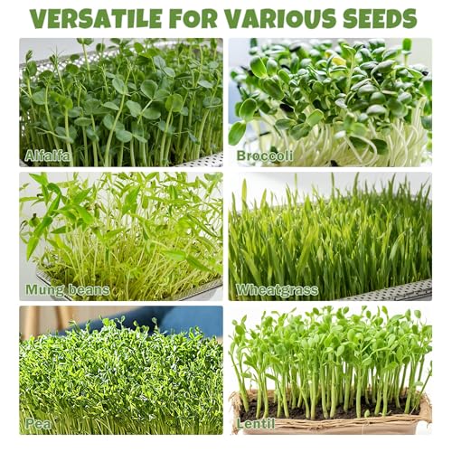 2 Pack Stainless Steel Seed Sprouter Trays, 2-Tier Soil-Free Microgreens Growing Kit, Rust-Free Sprouting Tray with Mesh Pads for Sprouts Beans Alfalfa Wheatgrass (10.6" x 7.9" x 1.9")