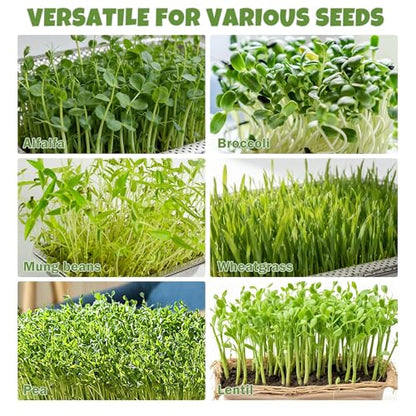 2 Pack Stainless Steel Seed Sprouter Trays, 2-Tier Soil-Free Microgreens Growing Kit, Rust-Free Sprouting Tray with Mesh Pads for Sprouts Beans Alfalfa Wheatgrass (10.6" x 7.9" x 1.9")