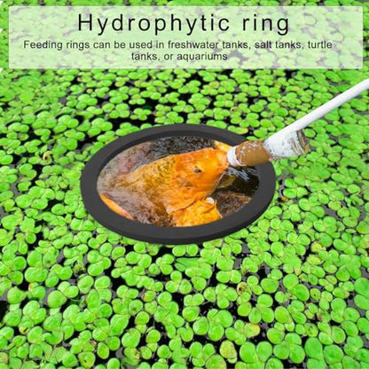 Fishtanks Floating Plant Rings 5pcs Corral Aquariums Feeding Food Holders Aquarium for