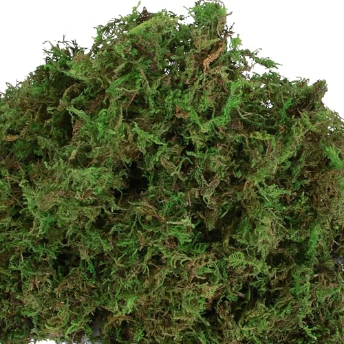 Fake Moss for Potted Plants Indoor, 2LBS Large Capacity Artificial Green Moss for DIY Crafts, Faux Moss for Table Centerpieces Fairy Garden Terrariums Decor (32OZ)