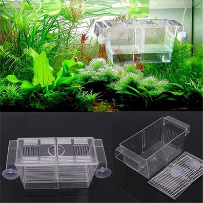 Aquarium Fish Tank Guppy Double Breeding Breeder Rearing Trap Box Hatchery Direct