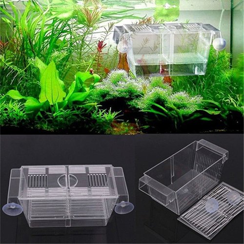 Aquarium Fish Tank Guppy Double Breeding Breeder Rearing Trap Box Hatchery Direct