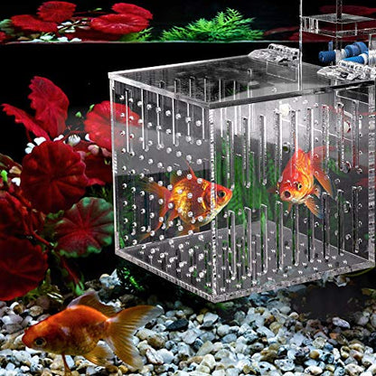 Clear Acrylic Fish Tank Isolation Box, Multifunctional Enclosure for Small Pets, 10.5 cm³, Water Flow Assurance