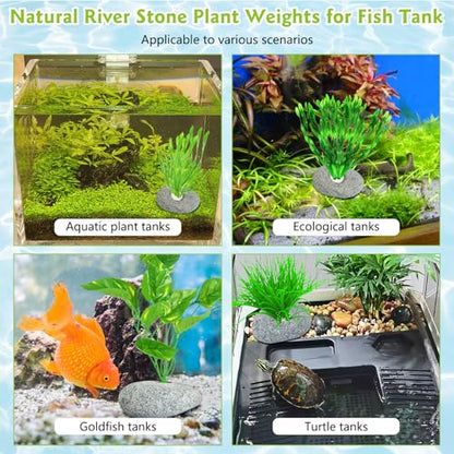 Drilled Pebble Aquatic Plant Anchors Water Plants Fixed Ring Natural River Stone Plant Weights for Fish Tank Aquarium Decorations Landscape Stones(Aperture: 0.8" 1hole 6pcs)