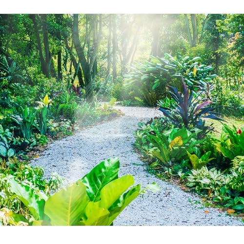 45lb White Cactus Pea Gravel Rocks,1/4 Inch Pebbles for Indoor Plants, Natural Succulent Rock and River Rocks Decorative for Aquariums, Vases, Outdoor Gardening, Top Dressing for Potted Plants