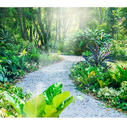 45lb White Cactus Pea Gravel Rocks,1/4 Inch Pebbles for Indoor Plants, Natural Succulent Rock and River Rocks Decorative for Aquariums, Vases, Outdoor Gardening, Top Dressing for Potted Plants