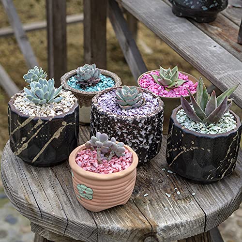 HappyFiller 1.4 LB Crushed Shell Chips Broken Pieces,Resin Arts Craft Projecting,Vase Fillers,Succulents Terrarium Plants Soil Cover,Candle Holder,Aquarium,Table Centerpiece,Home Decor,Light Lavender - color: Purple-2