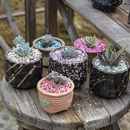 HappyFiller 1.4 LB Crushed Shell Chips Broken Pieces,Resin Arts Craft Projecting,Vase Fillers,Succulents Terrarium Plants Soil Cover,Candle Holder,Aquarium,Table Centerpiece,Home Decor,Light Lavender - color: Purple-2