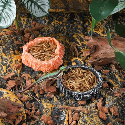 IBWell 2pcs Reptile Water Bowl with Feeding Tweezers - Feeding Dish for Lizard, Snake, Tortoise & Small Animals - Grey Rock