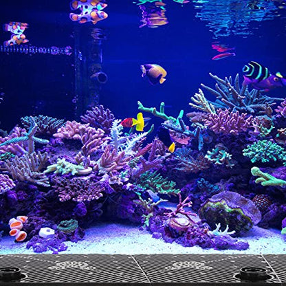 POPETPOP Fish Tank Isolation Plate Set Plastic Separation Board Net Design Plate for Fish Tank Divider