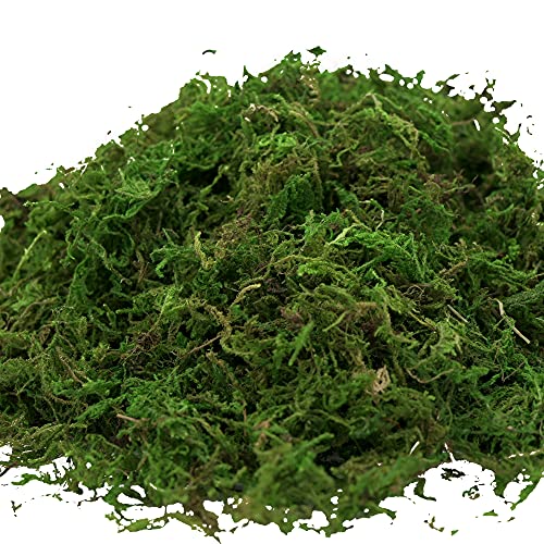 Artificial Moss, 16OZ Fake Moss for Crafts Table Centerpieces Fairy Garden Wedding Party Decor, Faux Grass for Potted Plants, 455gr (Fresh Green)