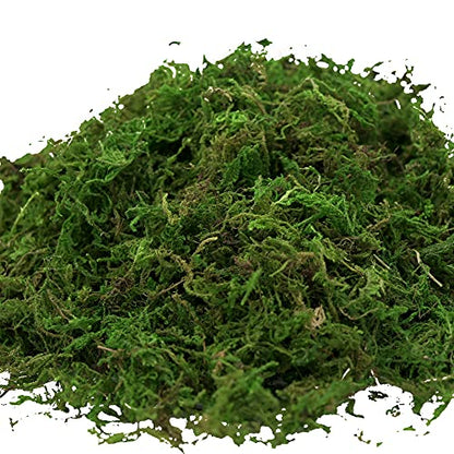 Artificial Moss, 16OZ Fake Moss for Crafts Table Centerpieces Fairy Garden Wedding Party Decor, Faux Grass for Potted Plants, 455gr (Fresh Green)