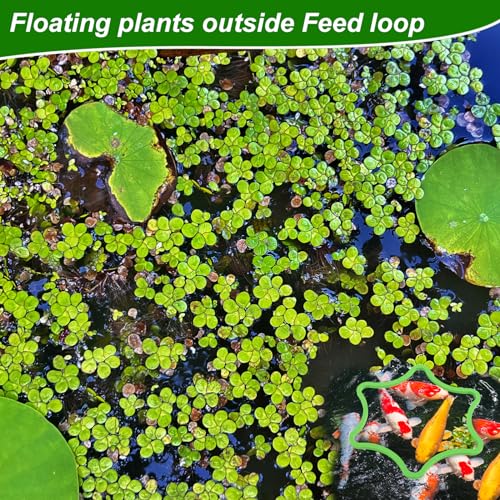 PEUTIER 5pcs Aquarium Floating Plant Rings, Foam Floating Plant Corral Flower Shaped Fish Feeding Rings Fish Tank Duckweed Food Ring for Intercepting Floating Plants (Green)