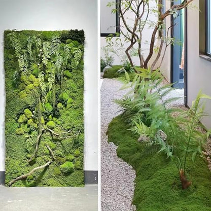 2 Pcs Preserved Sheet Moss for Potted Plants 2 sq.ft. Dried Natural Preserved Mat Green Moss Sheets for Planters Crafts Woodland Decor Garden Party Wall Art DIY Project Light Green
