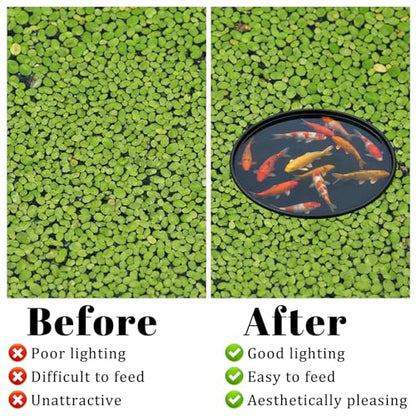 JJUNW 10 Pcs Aquarium Floating Plant Corral, Fish Feeding Ring Fish Tank Aquarium Floating Plants Barrier, 5 Sizes of Floatings Plant Ring Round for Fishs Tank, Plants Accessories(10 pcs)