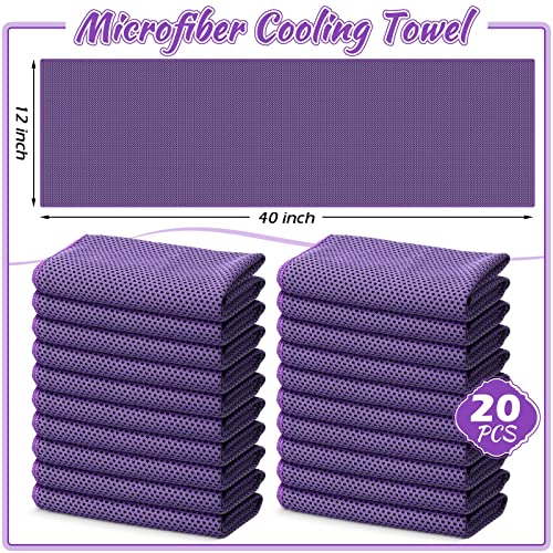 Redbaker 20 Pcs Cooling Towel Ice Towel with Bag for Neck Face, Purple - color: Purple