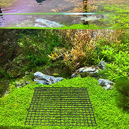 Kisangel 10pcs Aquarium Divider Panels for Fish Tank Isolation Easy to Install Breeding Tray for Fish Grid Bottom Panel