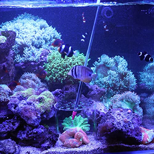 Acrylic Transparent Feeder Cover, Aquarium Feeding to Prevent Fish and Shrimp from Stealing Food, with Center Hole for Feeding Tube, for Reproduction and Safe Feeding in Fish (120mm) - size: 120mm
