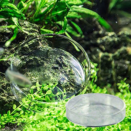 BESPORTBLE 1pc Transparent Glass Shrimp Feeding Bowl Glass Round Dish for Fish and Reptiles Design Aquarium Ornamental Supply