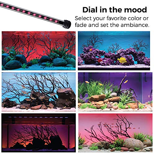 CURRENT USA 48" Serene Aquarium LED Background Light Kit | Fish Tank Lighting Backdrop Decoration Black 3D 40, 55, 75, 90 Gallon Tank (3153)