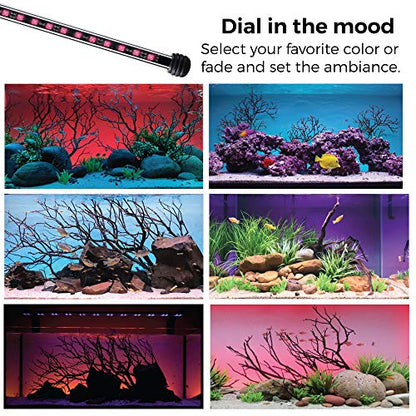 CURRENT USA 48" Serene Aquarium LED Background Light Kit | Fish Tank Lighting Backdrop Decoration Black 3D 40, 55, 75, 90 Gallon Tank (3153)